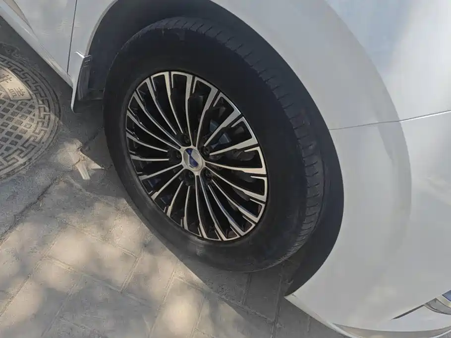 Denza D9 2023