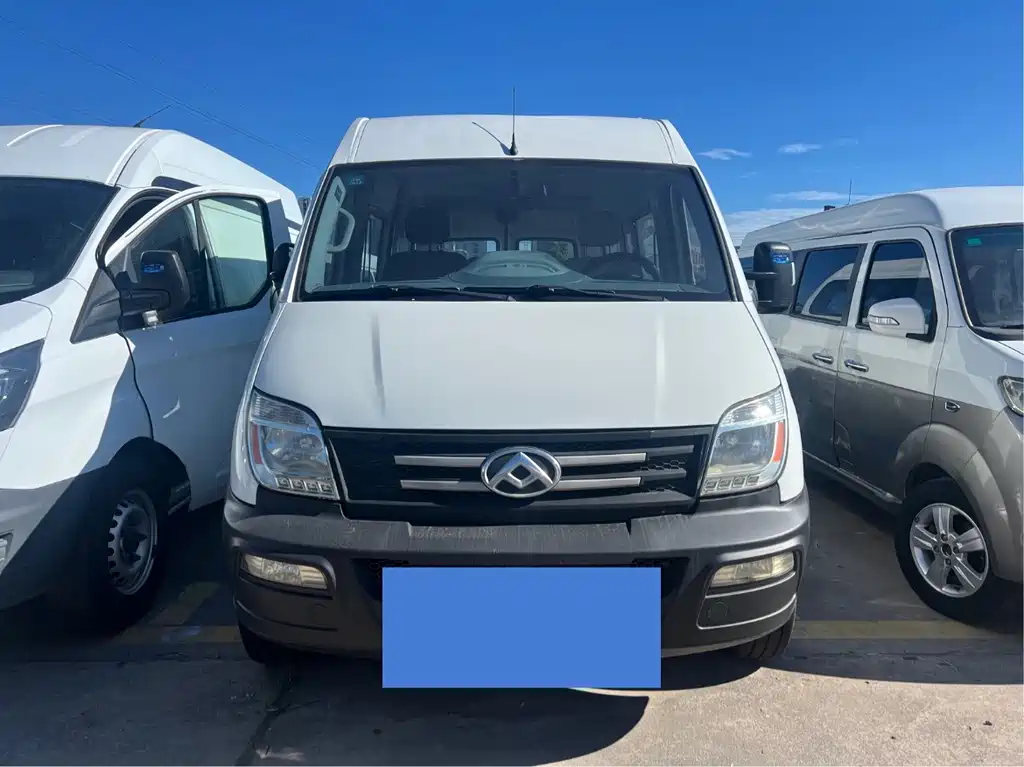 Maxus V80 2020