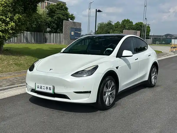 Tesla Model Y 2021