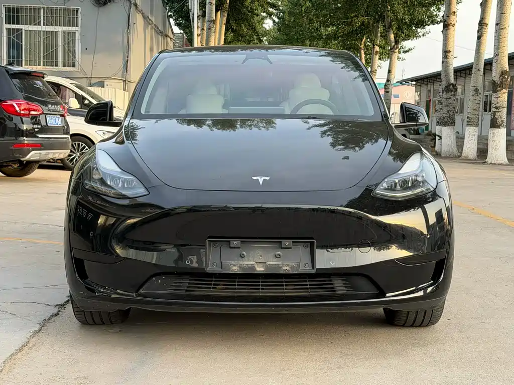 Tesla Model Y 2023 — фото 1