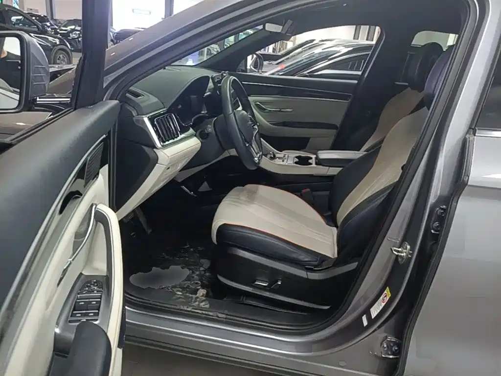 BYD PLUS New Energy 2024 — фото 15