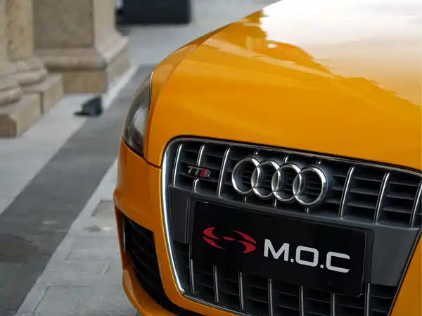 Audi TTS 2009