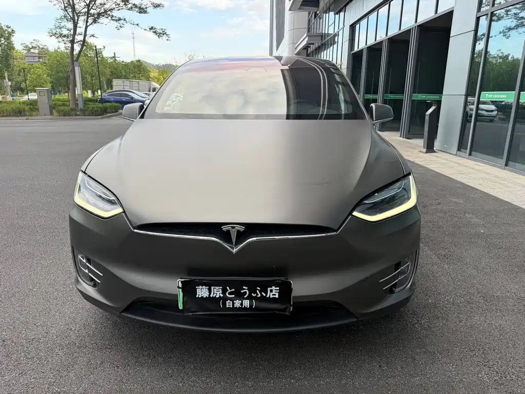 Tesla Model X 2020 — фото 5