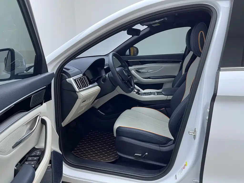 BYD PLUS New Energy 2022 — фото 11