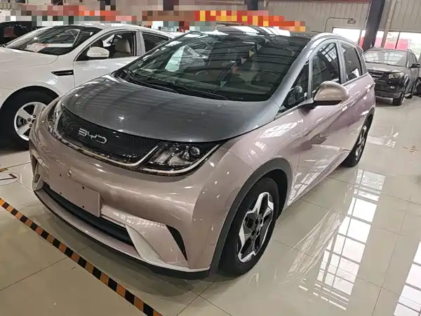 BYD Dolphin 2022