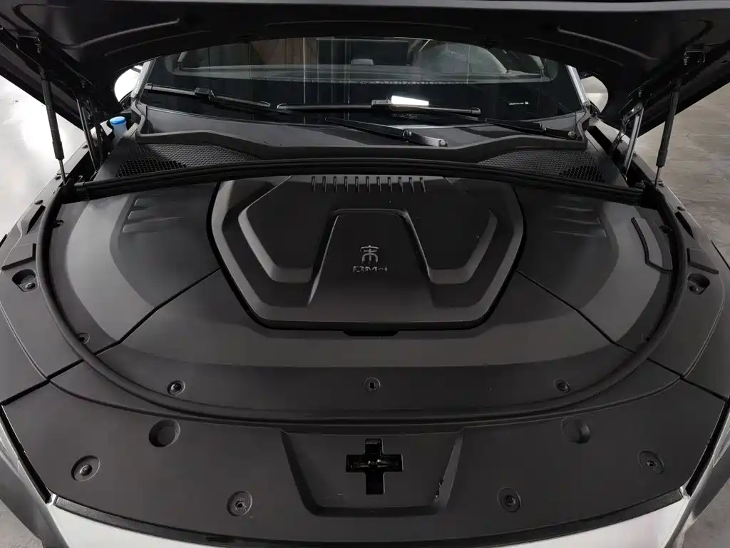 BYD Song PLUS New Energy 2023 — фото 6