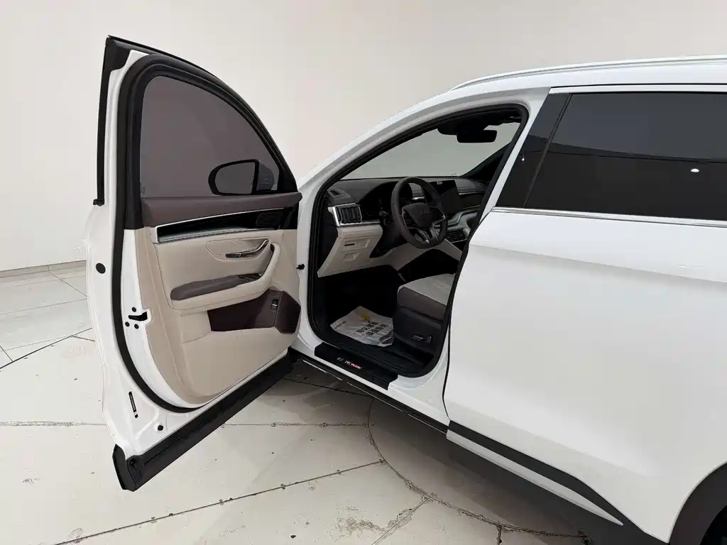 BYD Song PLUS New Energy 2025 — фото 11