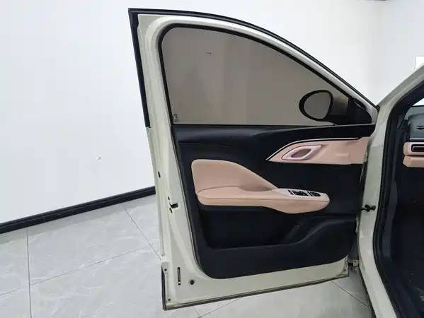 BYD Seagull 2024