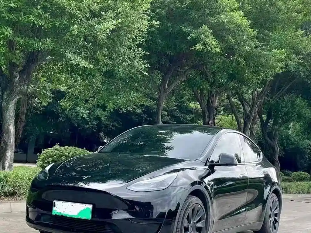 Tesla Model Y 2024 — фото 1
