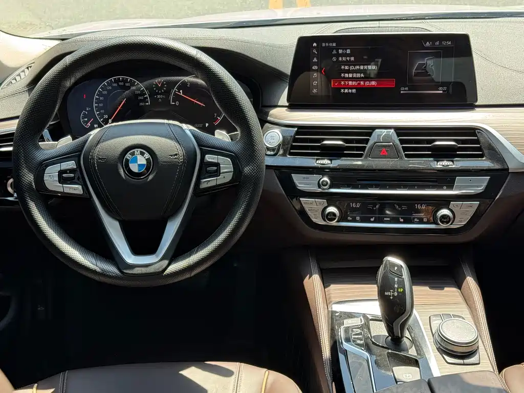 BMW 5 Series 2019 — фото 13