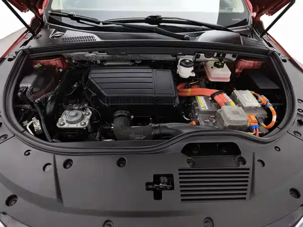 BYD Tang New Energy 2019