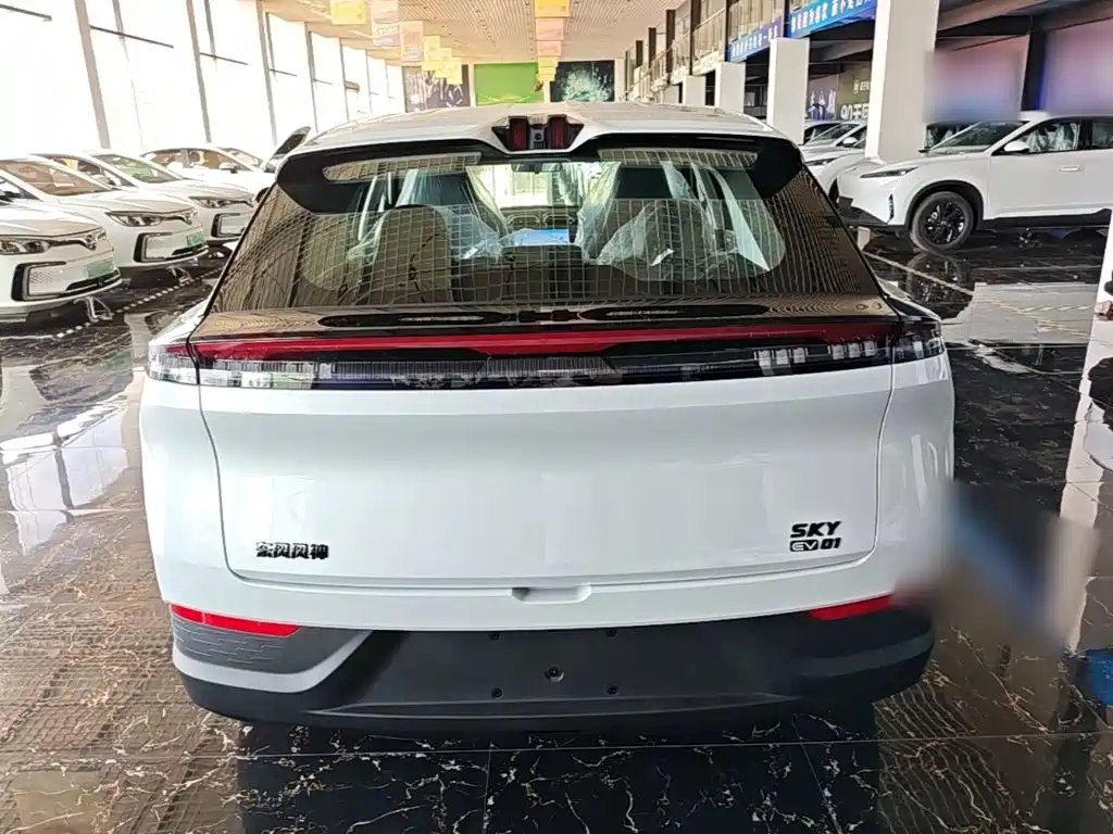 Dongfeng Aeolus SKY 2025