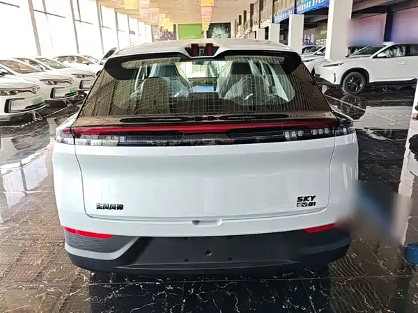 Dongfeng Aeolus SKY 2025