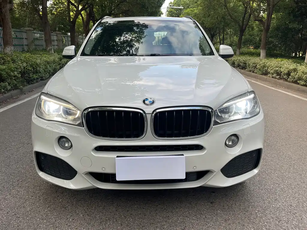 BMW X5 2015 — фото 2