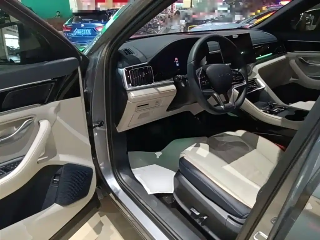 BYD PLUS New Energy 2024 — фото 16