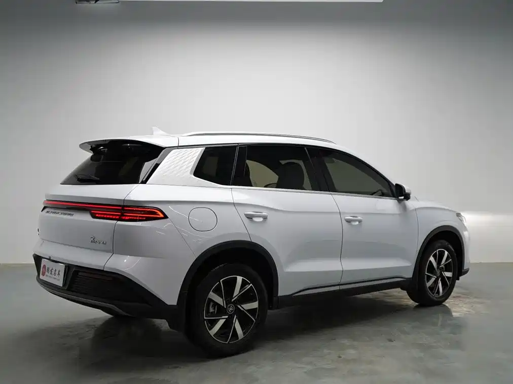 BYD Pro New Energy 2025 — фото 17