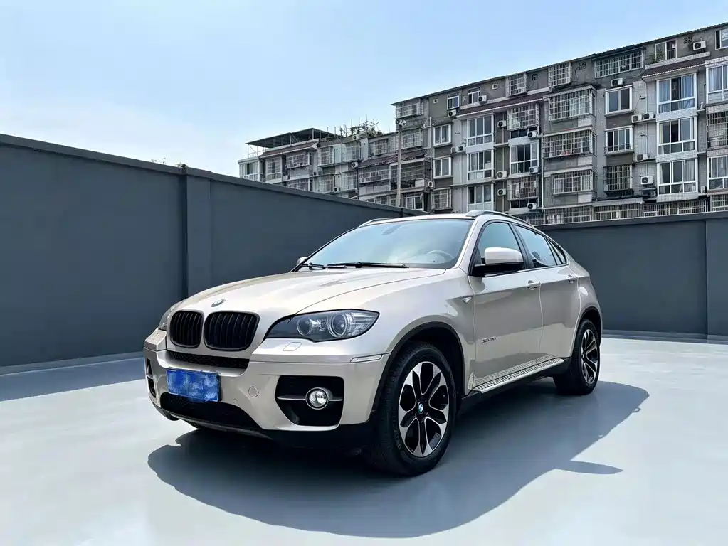 BMW X6 2010