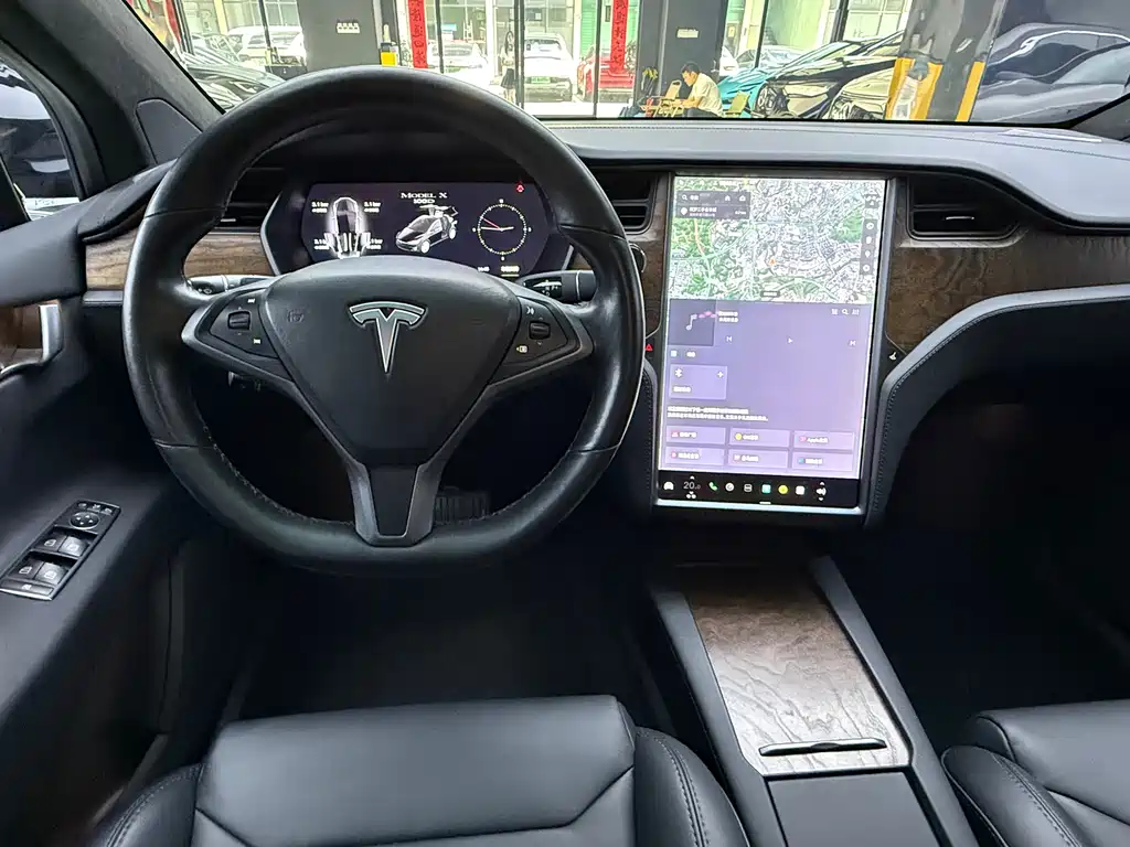 Tesla Model X 2019 — фото 14