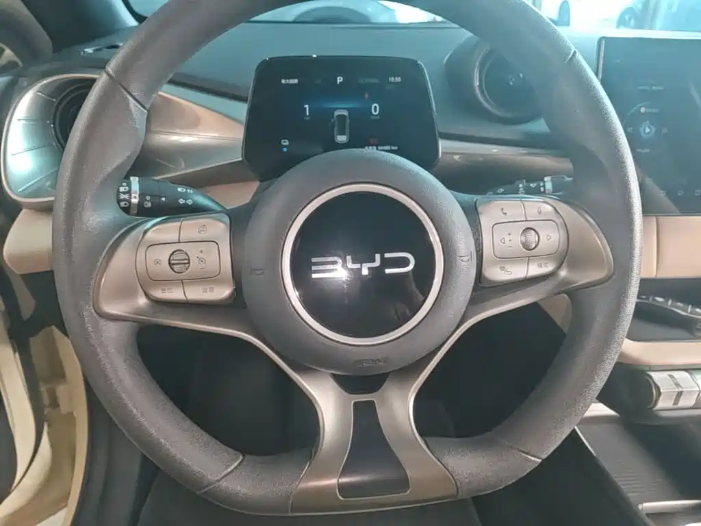 BYD Dolphin 2025 — фото 11