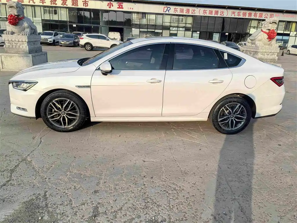 BYD Qin Pro New Energy 2020 — фото 14