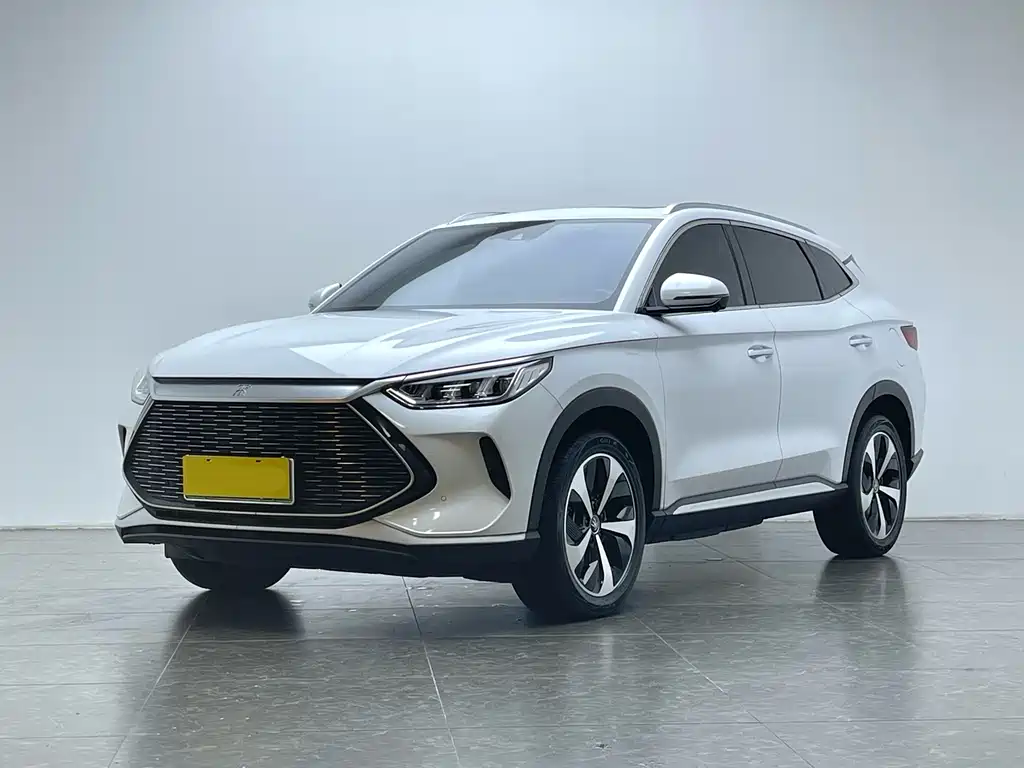 BYD PLUS New Energy 2022 — фото 1