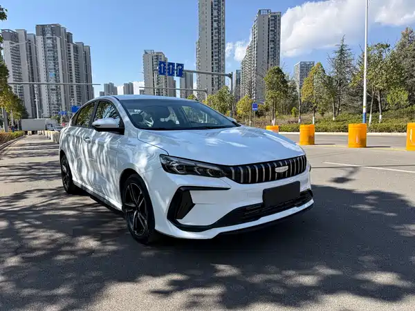 Geely Binrui 2024