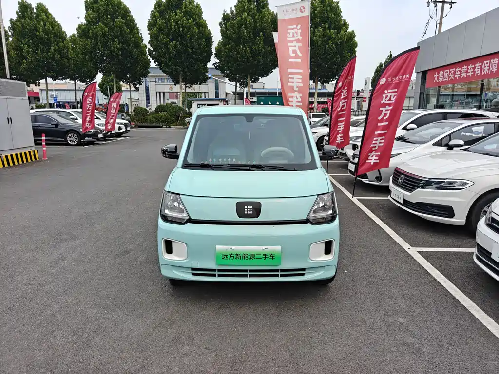 Fengguang MINIEV 2024