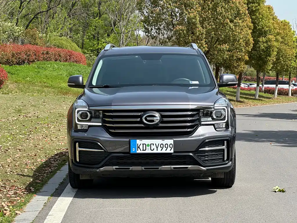 GAC Motor Trumpchi GS8 2021 — фото 2