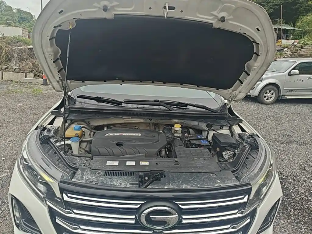 GAC Trumpchi GS4 2021 — фото 20