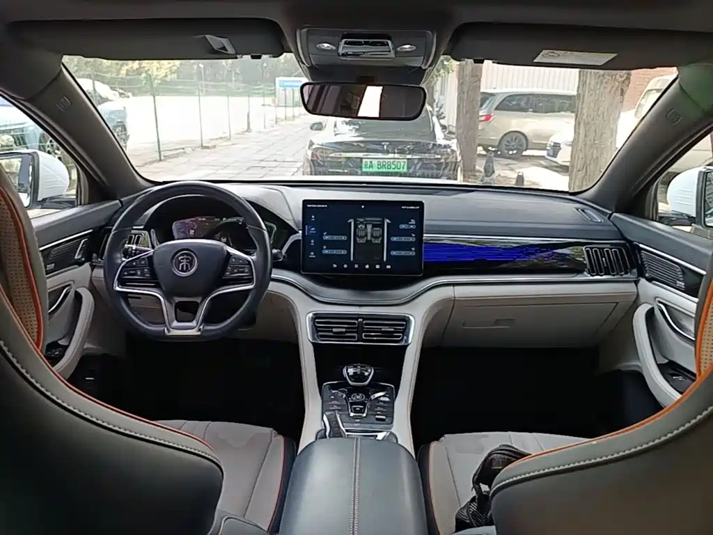 BYD PLUS New Energy 2022 — фото 10