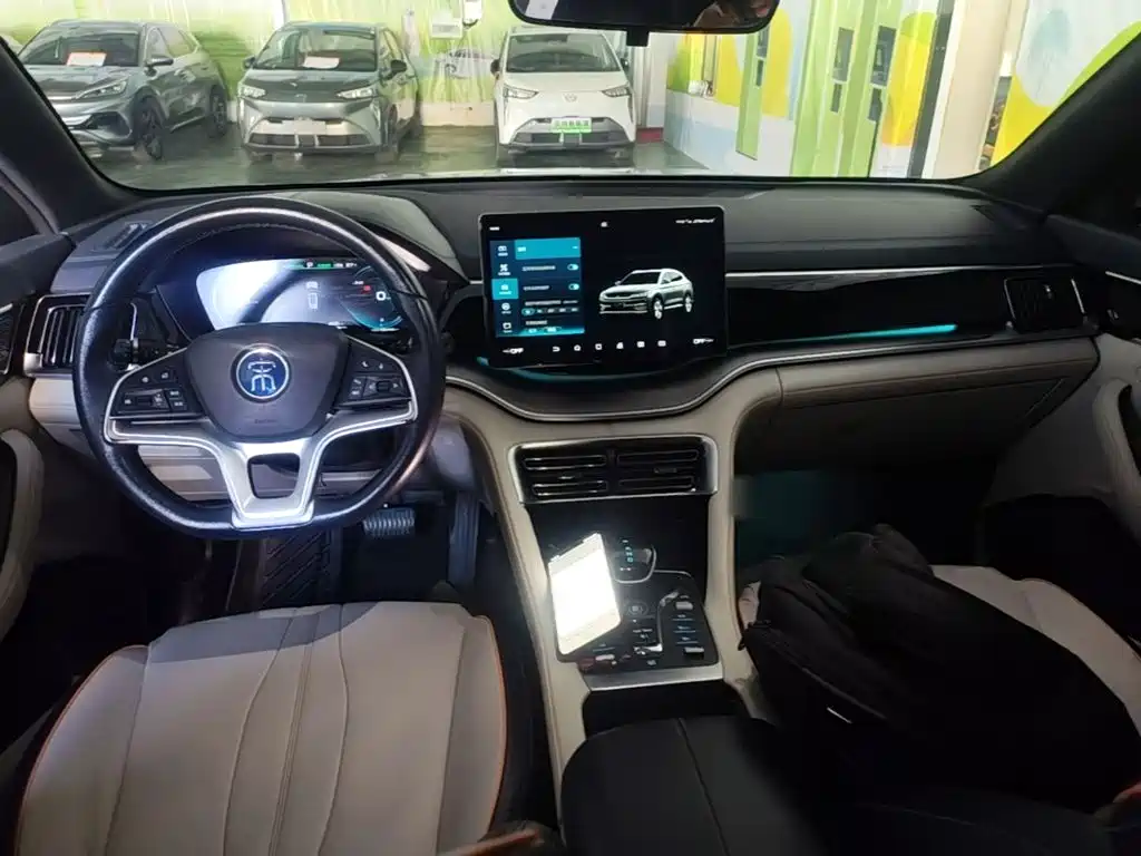 BYD PLUS New Energy 2022 — фото 10