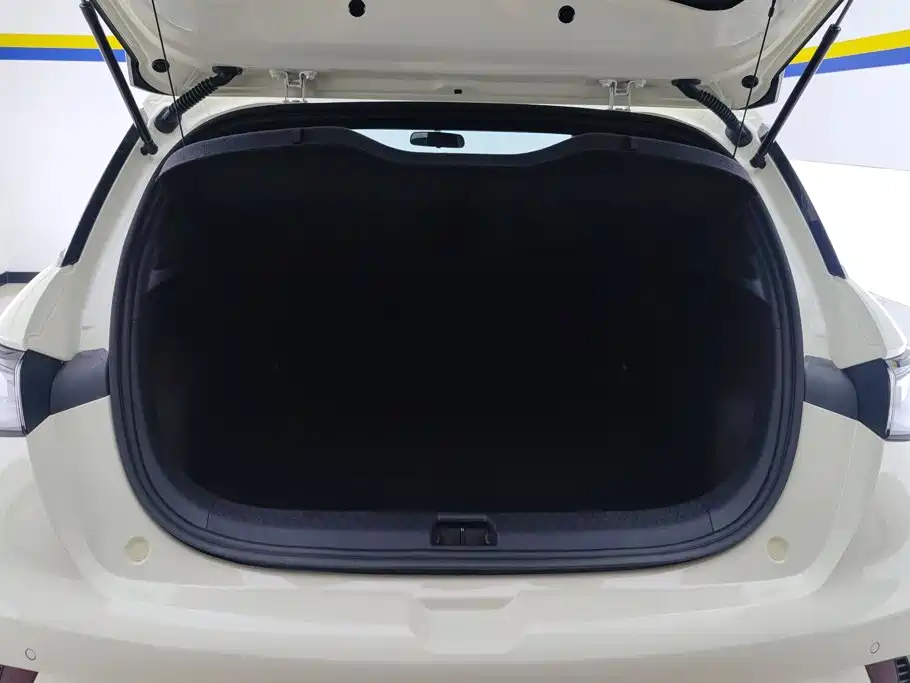 BYD Dolphin 2026