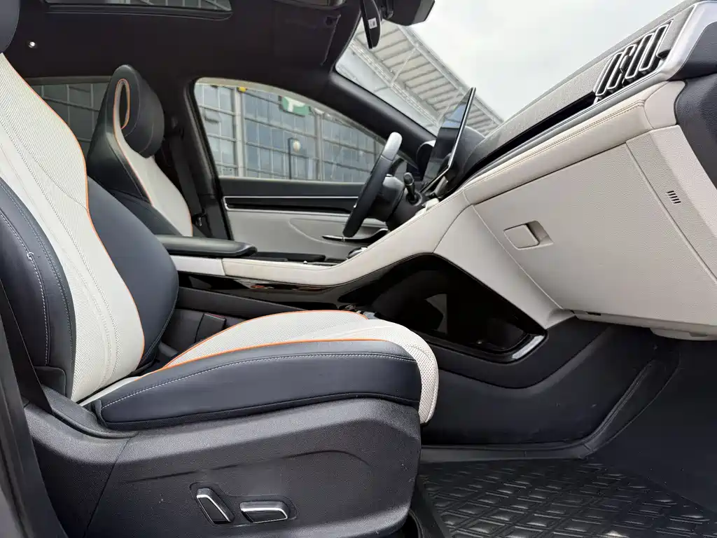 BYD PLUS New Energy 2022 — фото 13