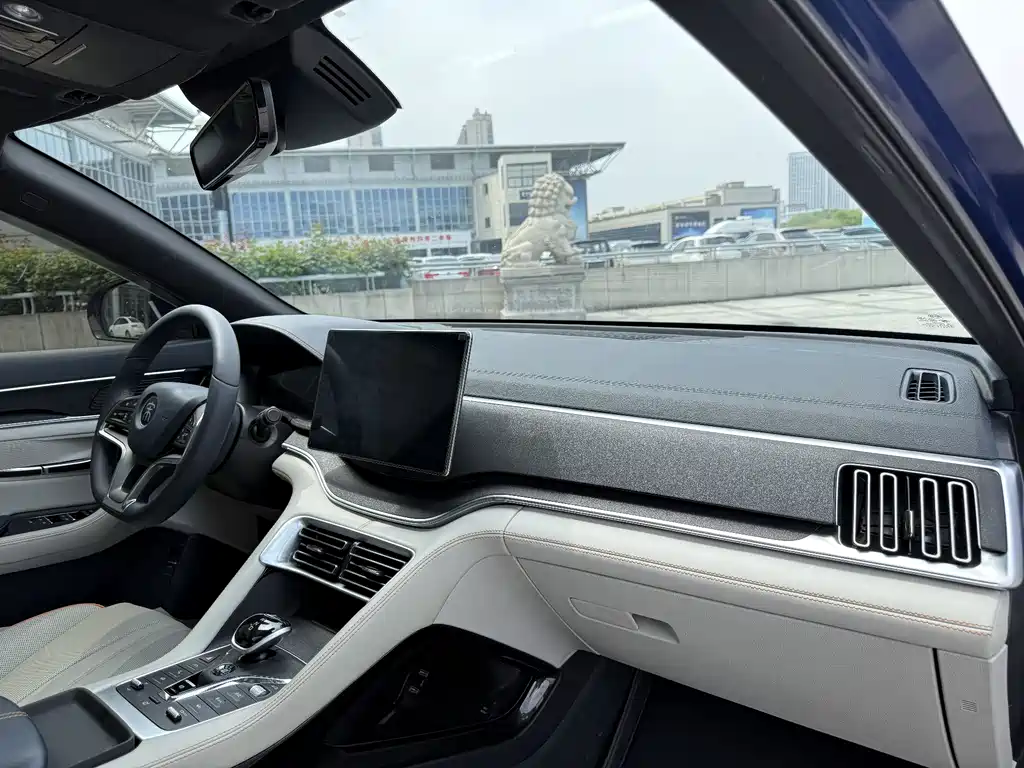 BYD PLUS New Energy 2022 — фото 15