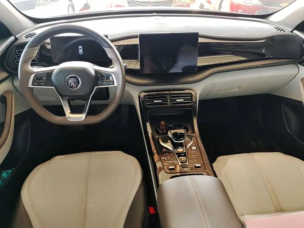 BYD Qin PLUS 2024 — фото 16