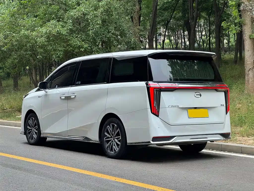 GAC Motor Trumpchi M8 2023 — фото 26