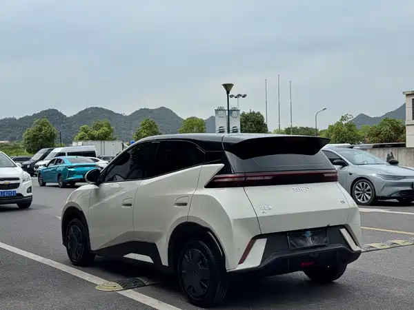 BYD Seagull 2024