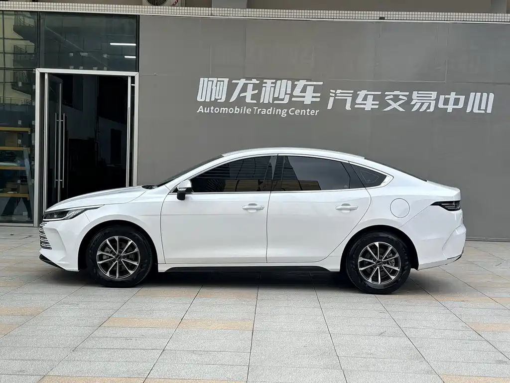 BYD Destroyer 05 2024 — фото 18