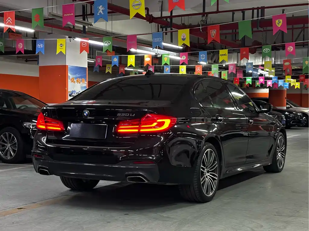 BMW 5 Series 2018 — фото 15