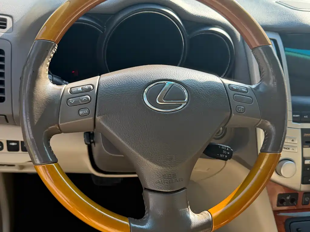 Lexus RX Classic 2007 — фото 15