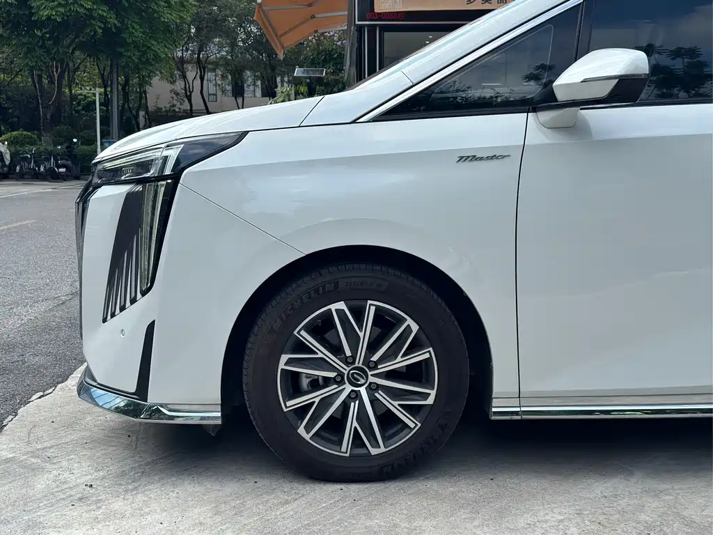 GAC Motor Trumpchi M8 2024 — фото 27