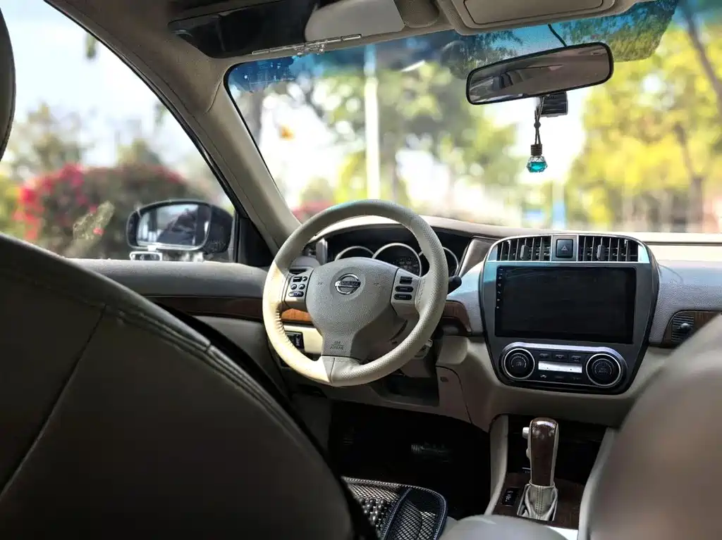 Nissan Sylphy 2010 — фото 28