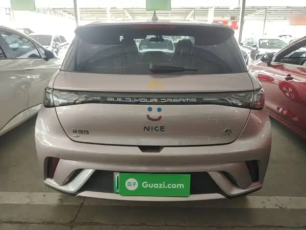 BYD Dolphin 2024