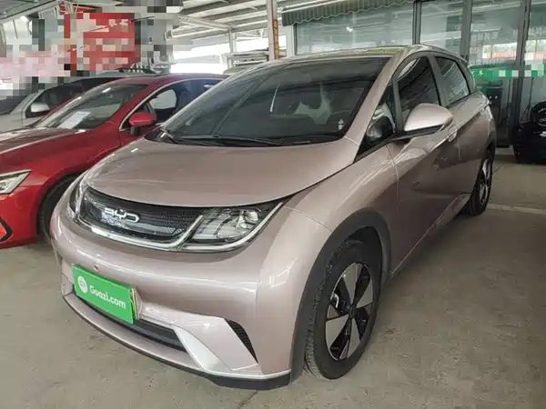 BYD Dolphin 2024