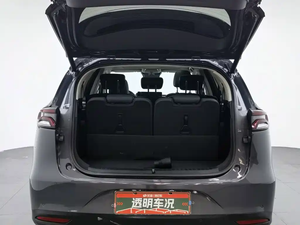 BYD Tang New Energy 2018 — фото 16