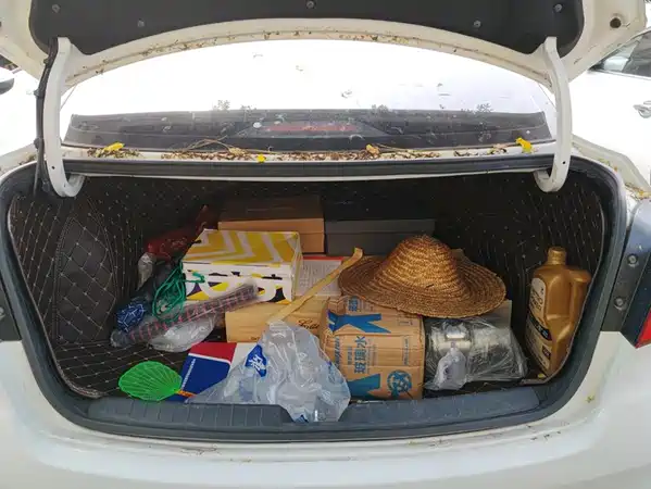 Hyundai Mistra 2017