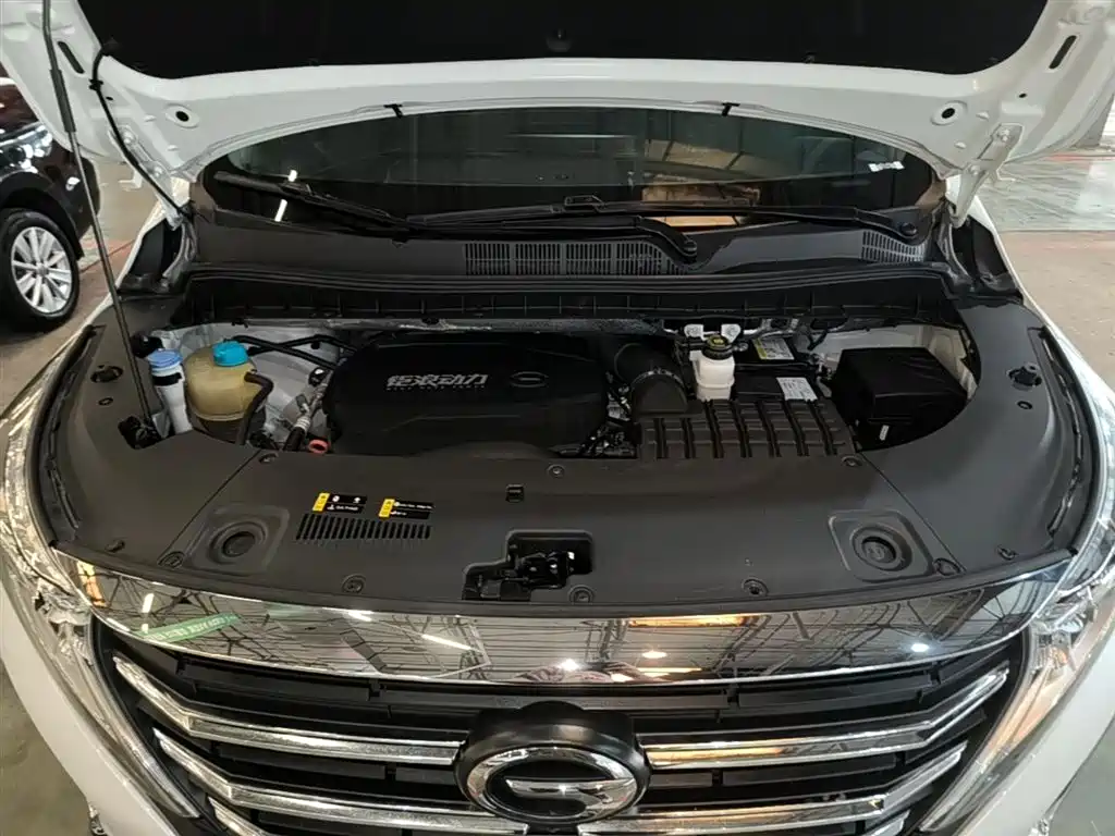 GAC Motor Trumpchi M8 2023 — фото 20