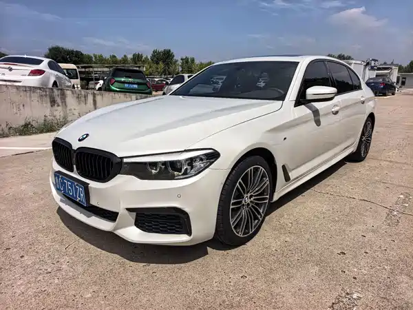 BMW 5 Series 2019