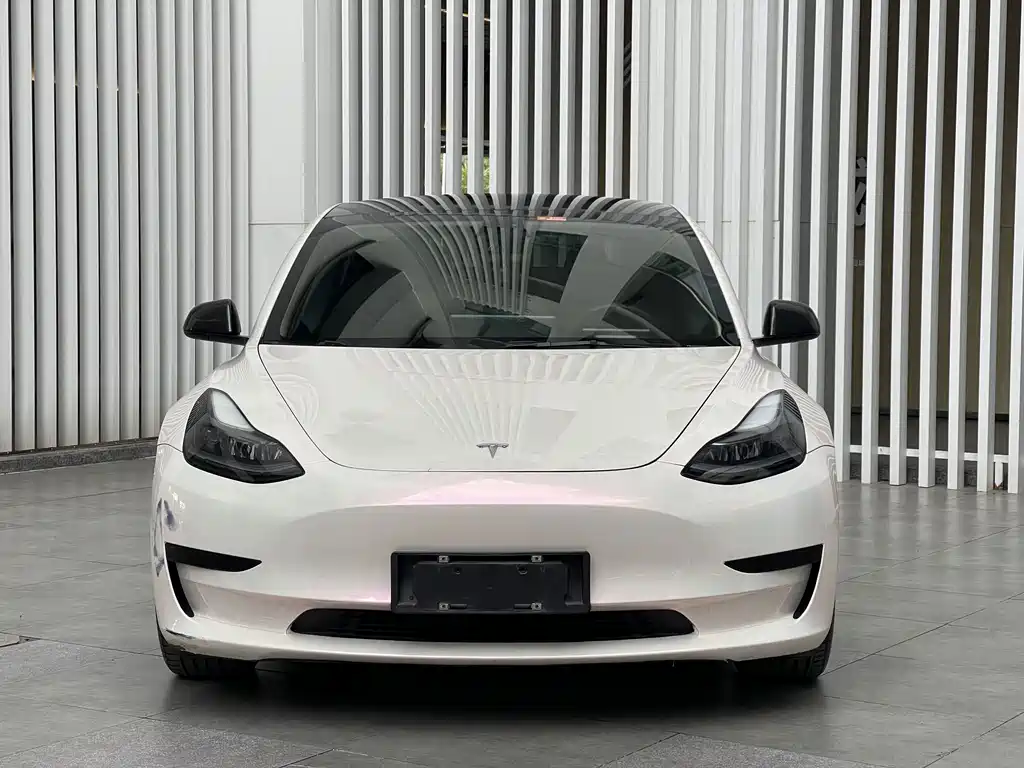 Tesla Model 3 2021 — фото 2