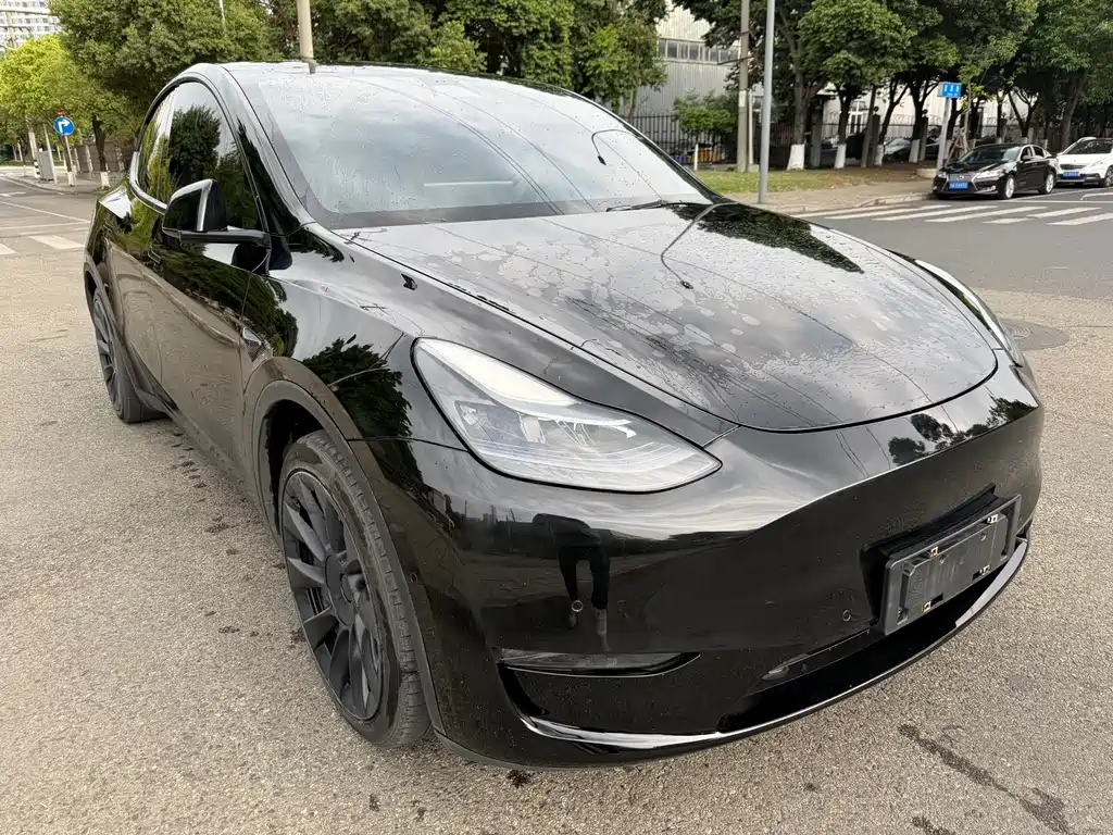 Tesla Model Y 2021 — фото 3